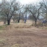 IMG 20250329 142019 29bc5ebf41d00daed6a326895786efef scaled 1