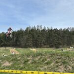 IMG 7472 87570b945bf805f4541cbce96ed3873a scaled 1