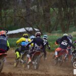 ADSC 2321 968f290cb06d4e1f111e683463f1f385 1