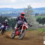 image4 de6f4cfa7271a2732576b366b45e2645 1