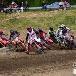 MDSC 0136 9129029c9cbb934fdedf1cbd9d698731 1