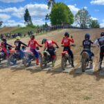 Screenshot 20250625 133938 Gallery 552a976ee88da4d882f13d9ad44aa1ca 1