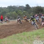 7 MX2 16 d29521d2c72aa082396a4158a8422ec3 scaled 1