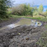 IMG 20250829 171537 ff7e10a472c1e50a82fb02571d81d195 scaled 1