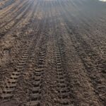 Obrazek WhatsApp 2025 10 19 v 19.22.25 2092b6eb