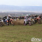 7 MX2 8 4e2012c1d081542f0f7d74a5a3eb15c9 scaled 1