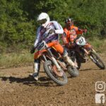 2DSC 1172 8c147110ee7d6aafa449e1038e393a7e 1